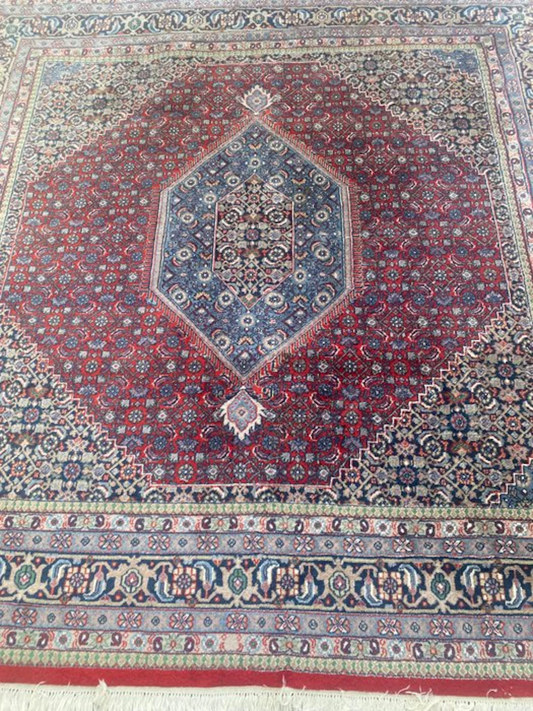 Bidjar - Rug - 251 cm - 251 cm