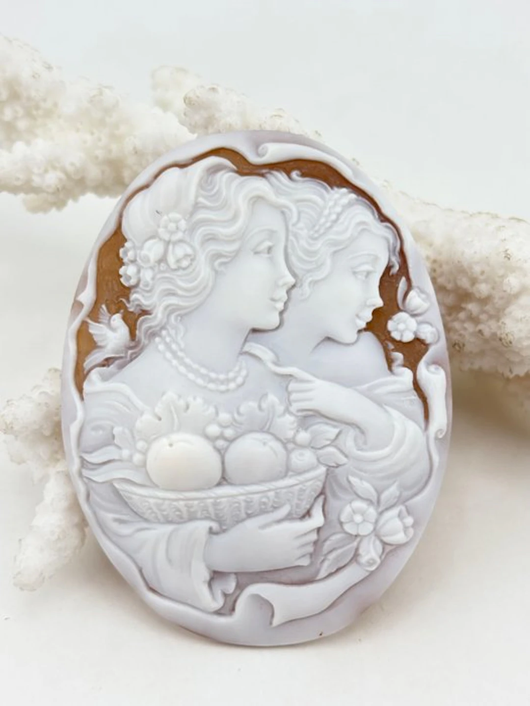 Cassis madagascariensis - Cameo - Hand-carved cameo