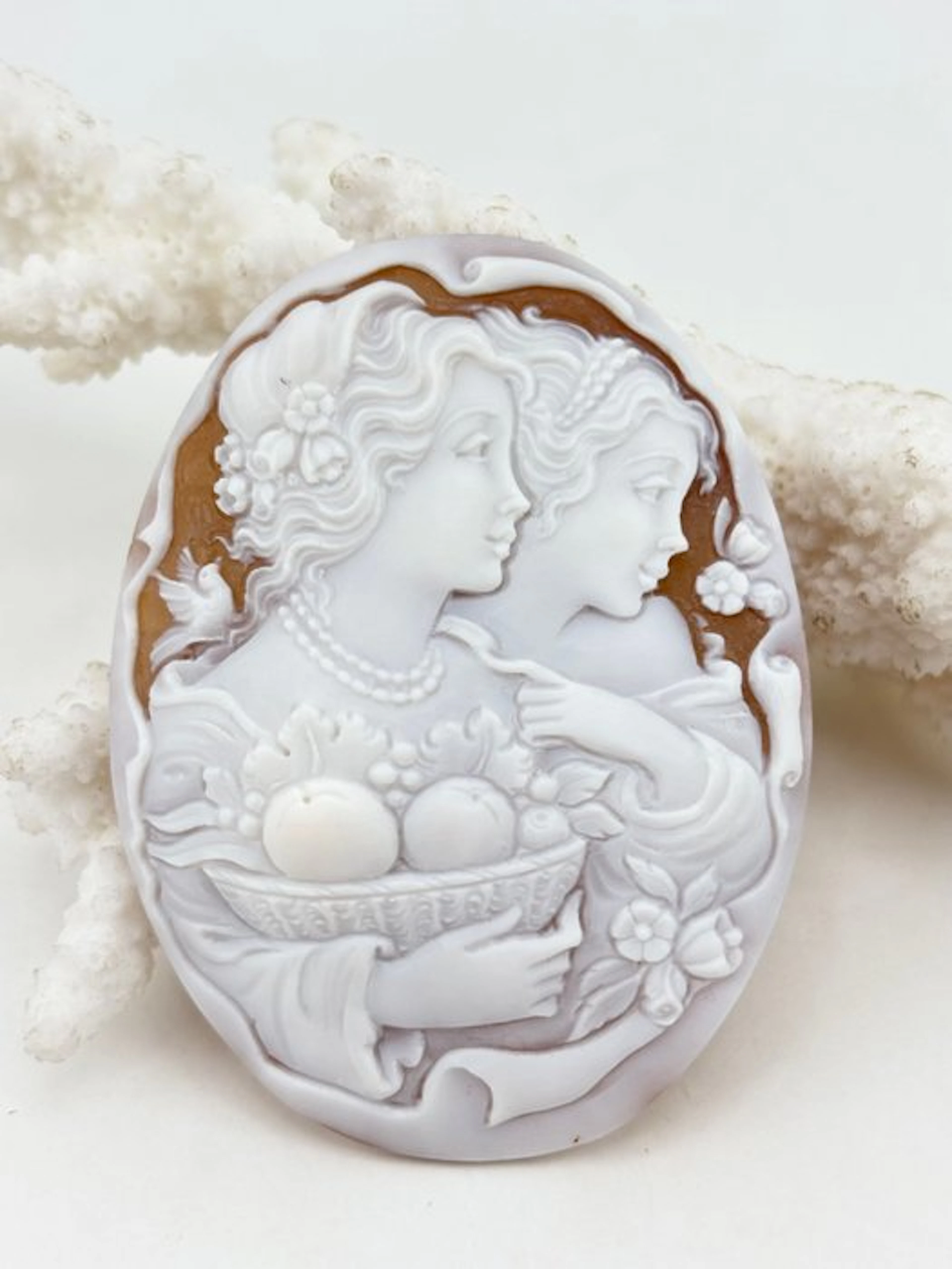 Cassis madagascariensis - Cameo - Hand-carved cameo