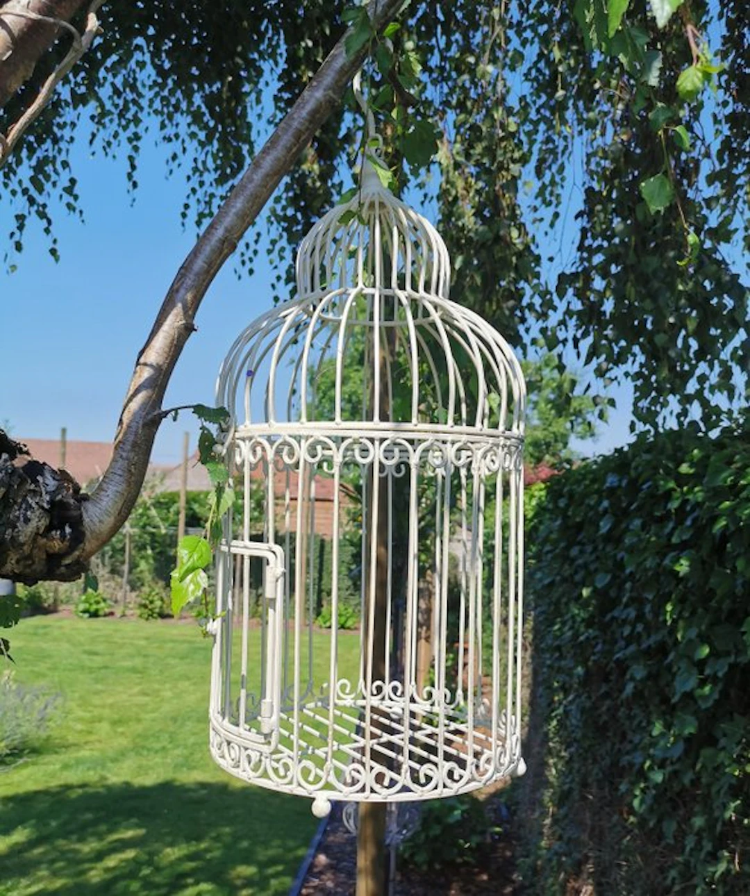 Birdcage - Iron