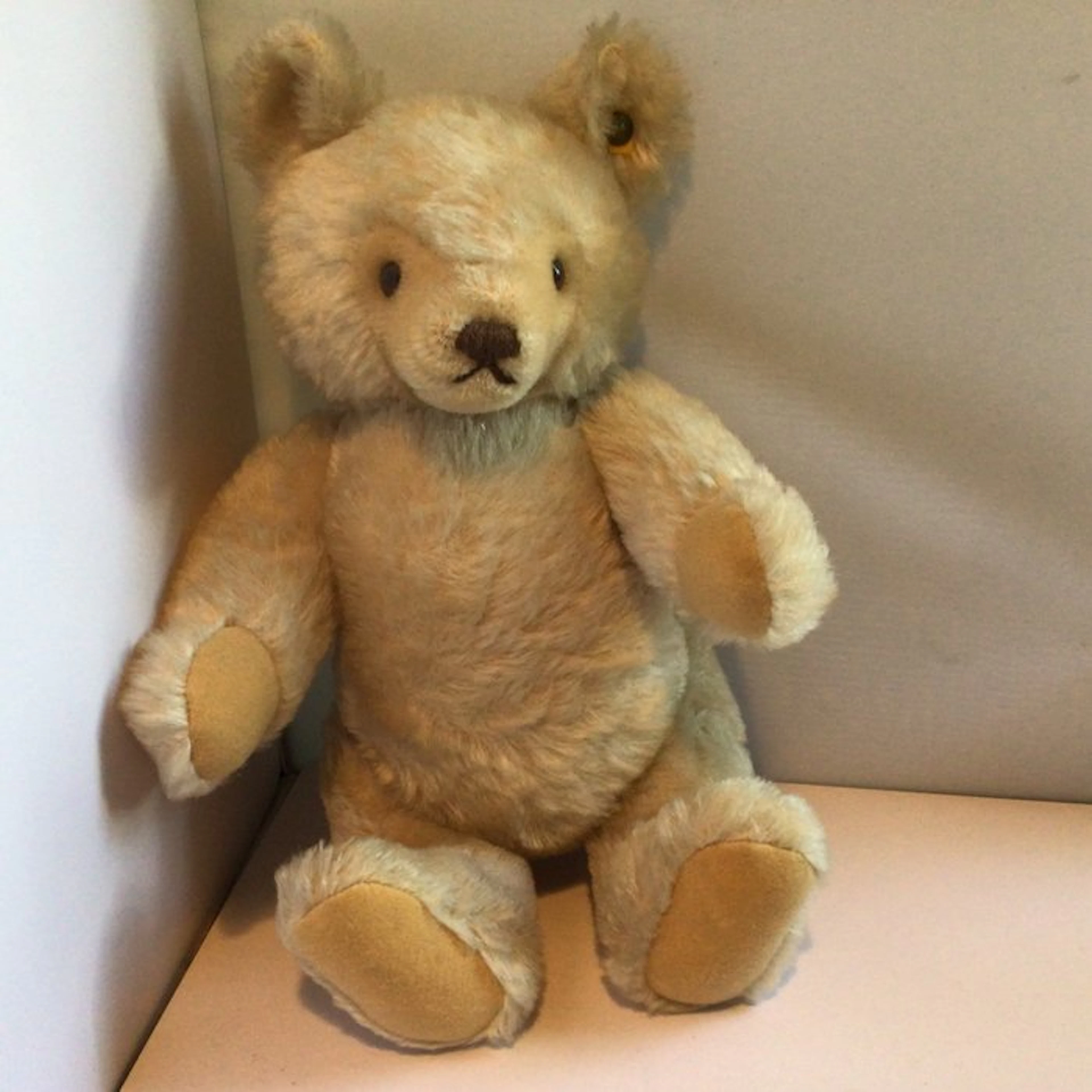 Steiff - Toy figurine Brombeer, teddybeer - 1950-1960 - Germany