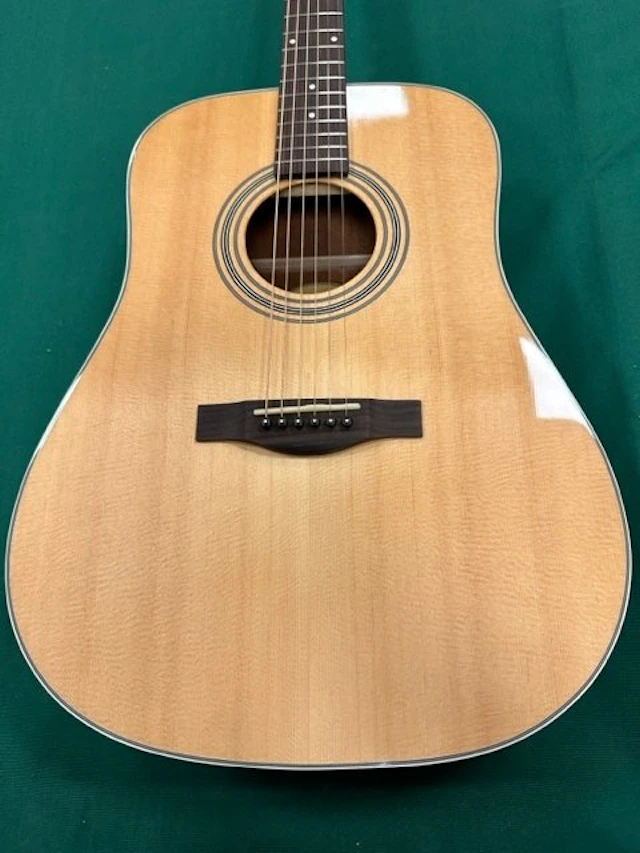 Farida - D-6E NA - - Electro-acoustic guitar