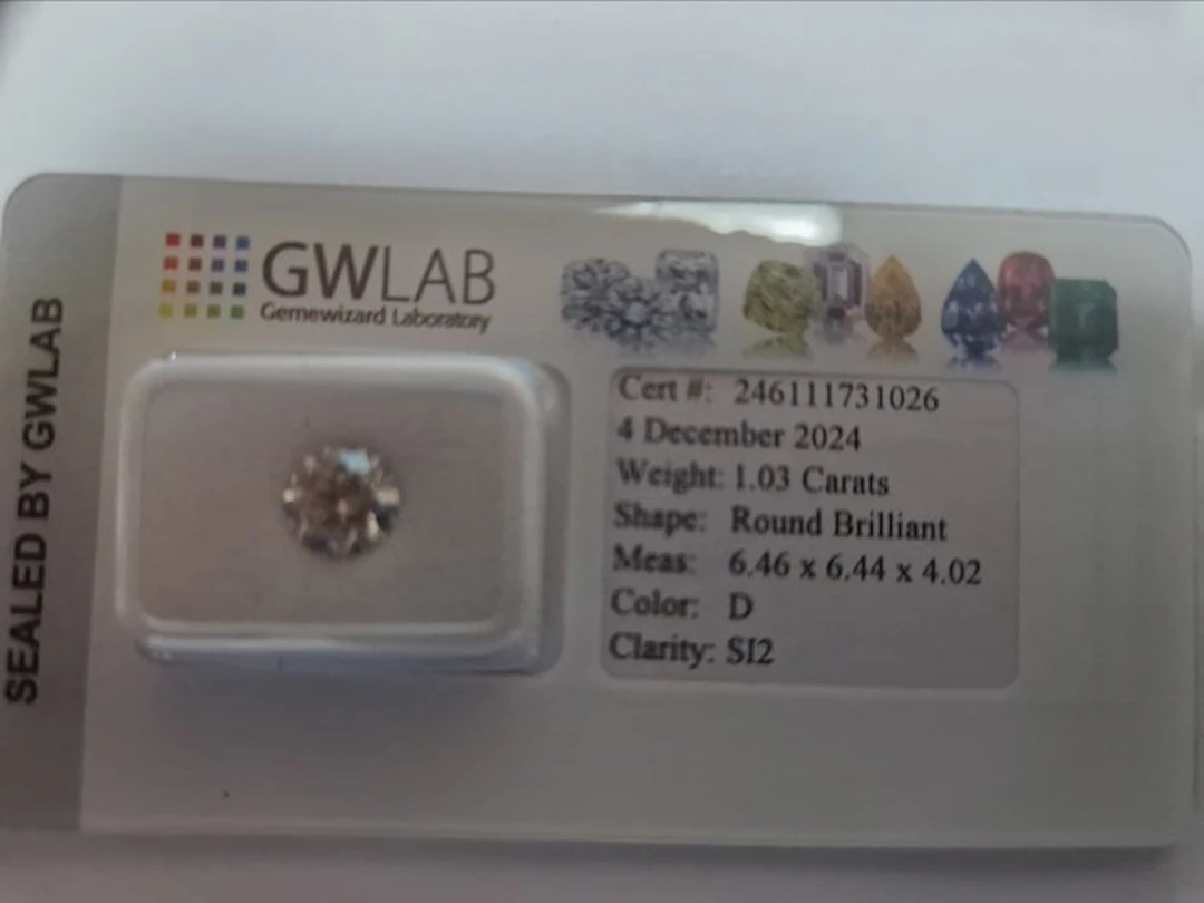 1 pcs Diamond (Natural) - 1.03 ct - Round - D...