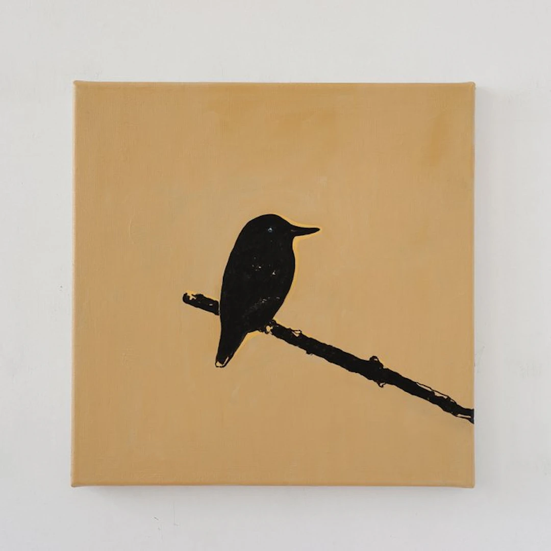 Matthieu van Riel - Black Bird