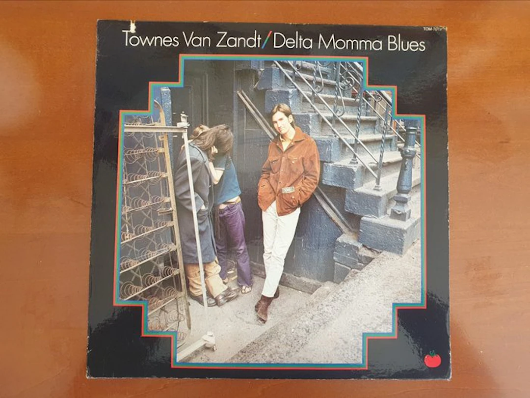 Townes Van Zandt - Delta Momma Blues - 1978 US pressing - Vinyl record - 1978