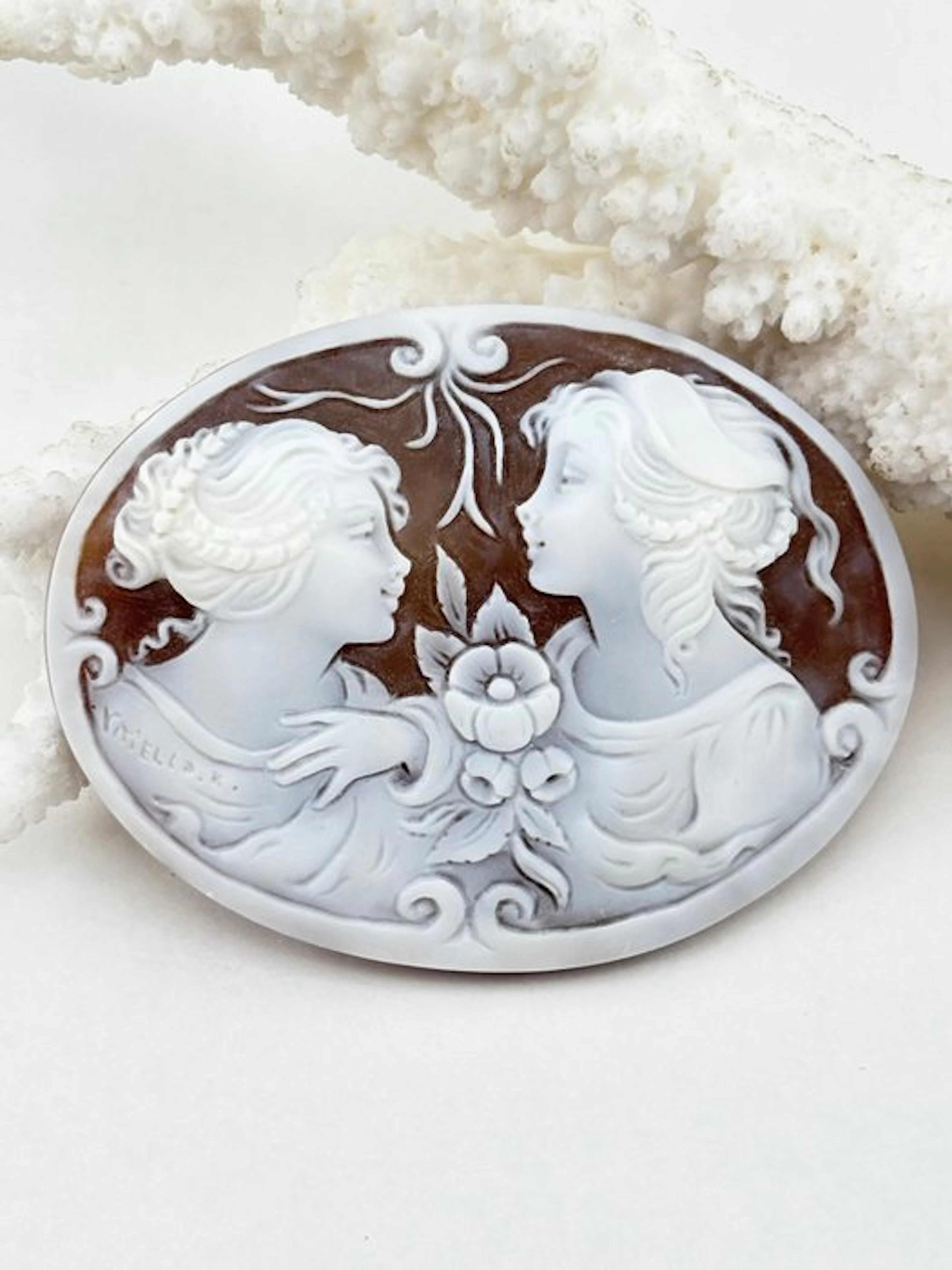 Cassis madagascariensis Cameo - Hand-carved cameo