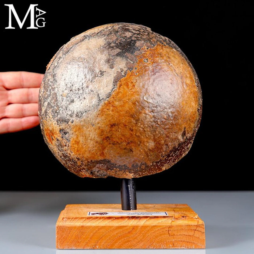 Fossilized Mammuthus Primigenius Bone Fragment...