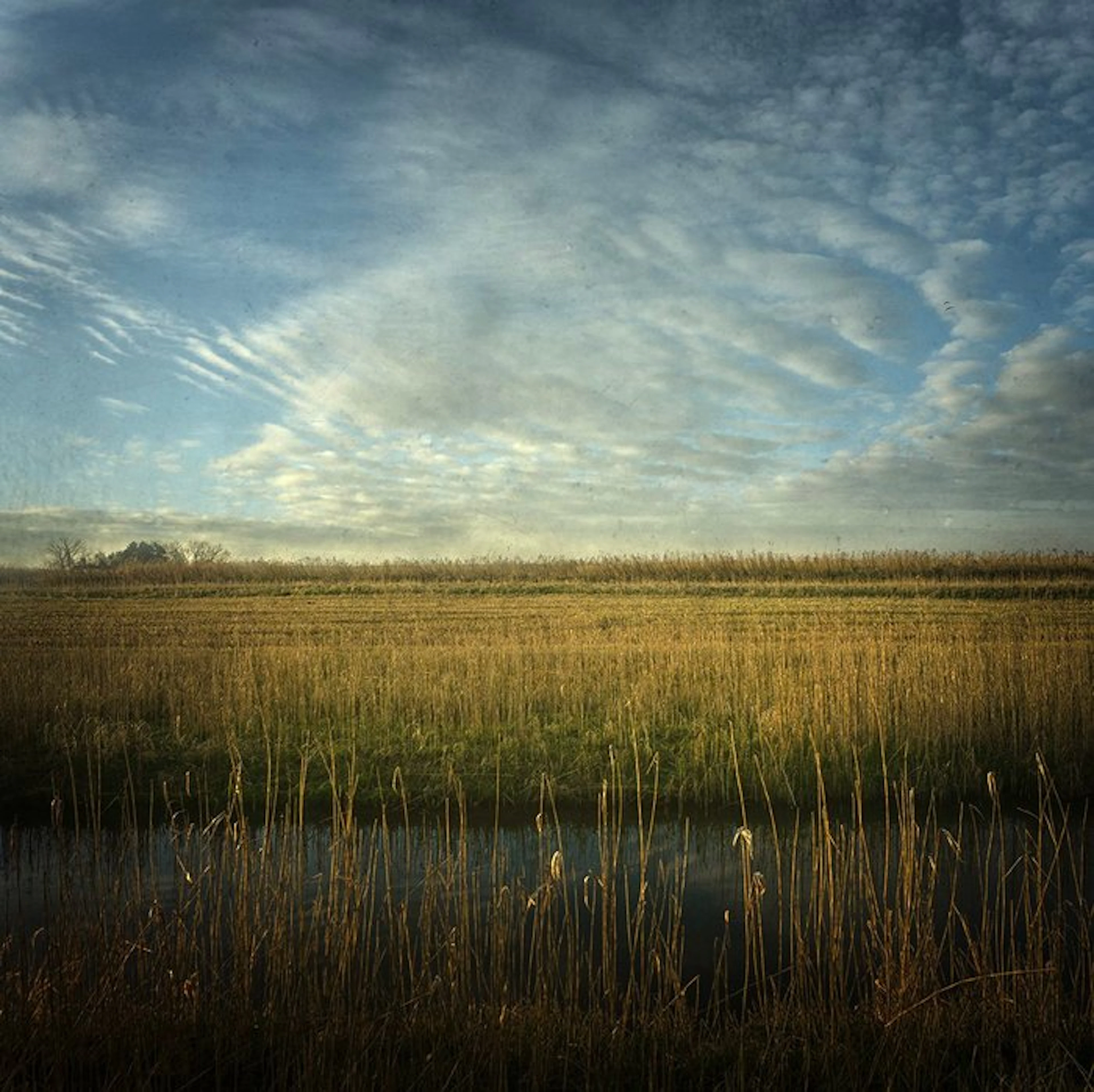 Tessa Posthuma de Boer - Dayscape #4