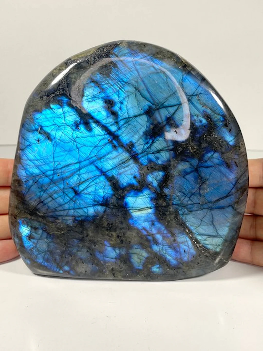 Impressive blue-black Labradorite Freeform - Height: 14...