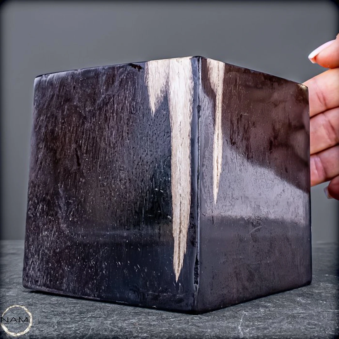 Petrified Wood Cubes – Natural Art from Millions of Years...
