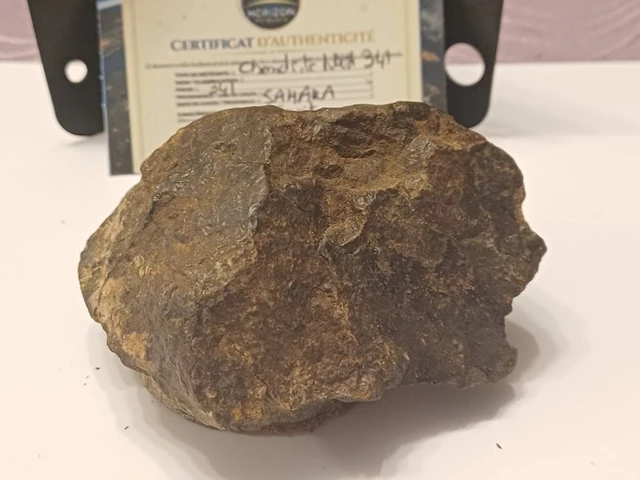 Oriented NWA 349G chondrite with fusion crust. Chondrite Meteorite - 349 g