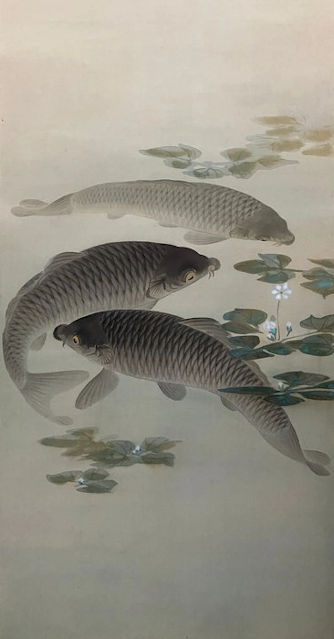 Scroll painting (Kakejiku) / ‘Three swimming carps with...