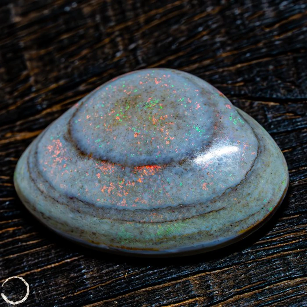 Rare natural Australian shell opal fossil 28.35 ct- 5.67 g