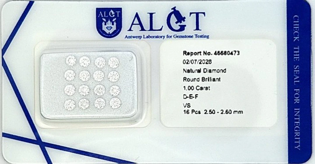 16 pcs Diamond (Natural) - 1.00 ct - Round - F