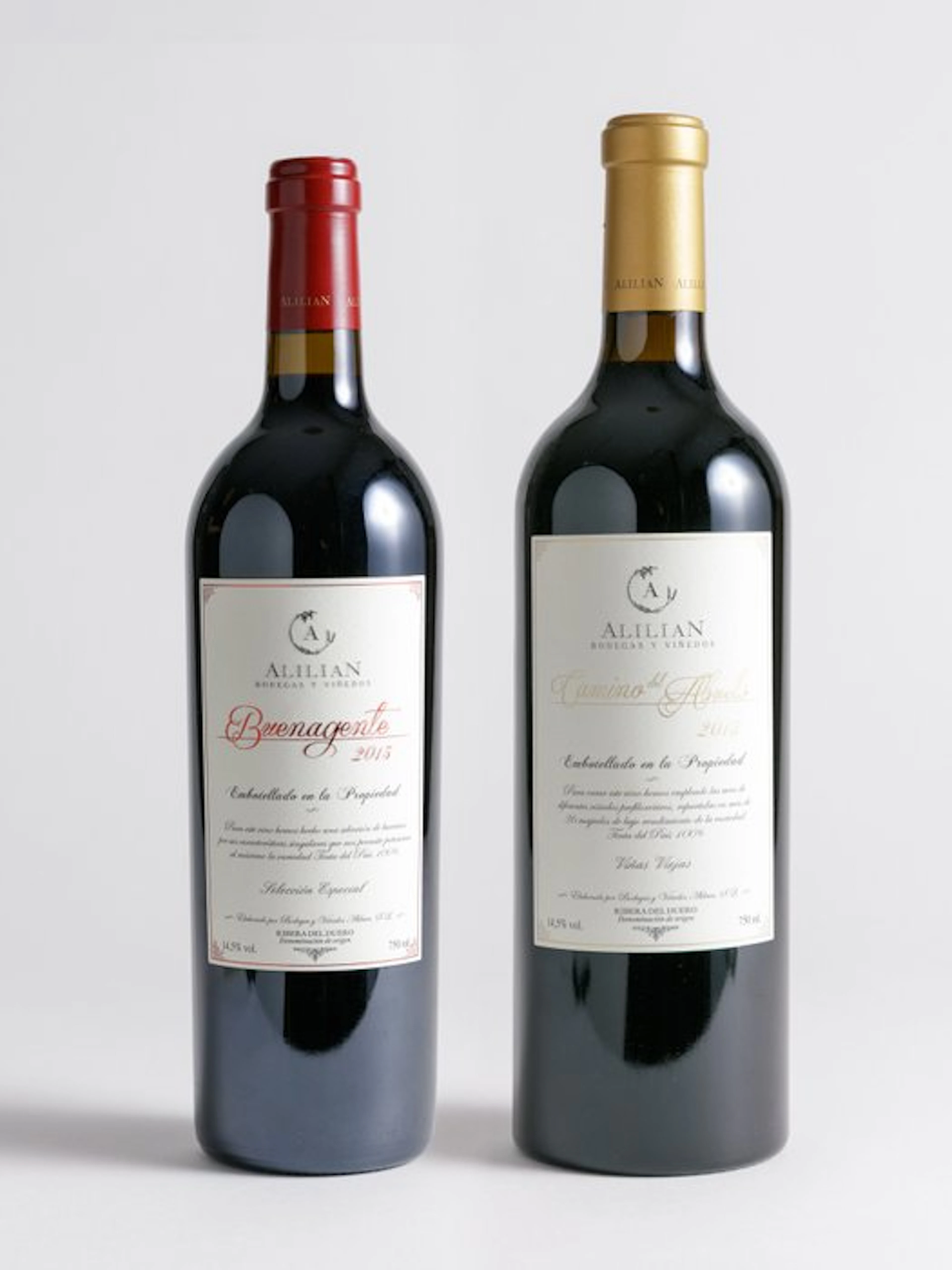 2013 Bodegas y Viñedos Alilian