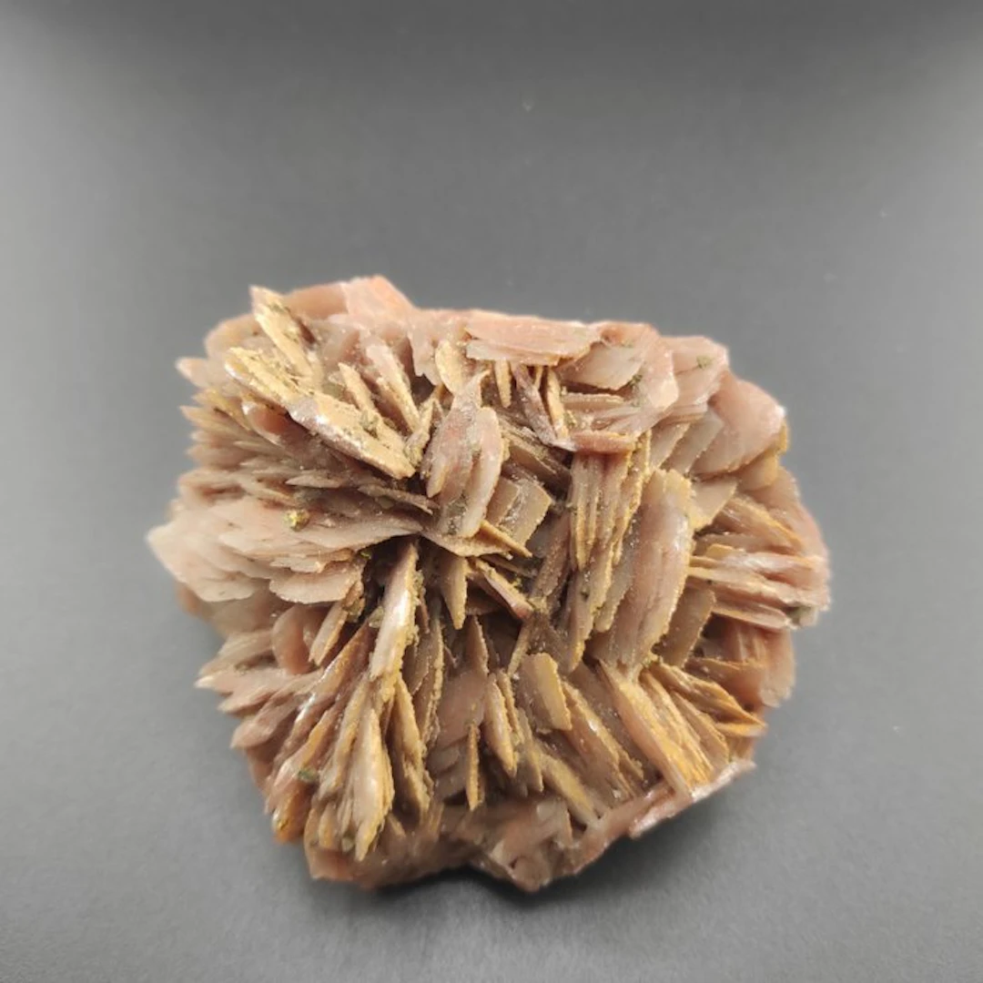 Desert Rose Specimen - Height: 4 cm - Width: 8 cm- 410 g - (1)