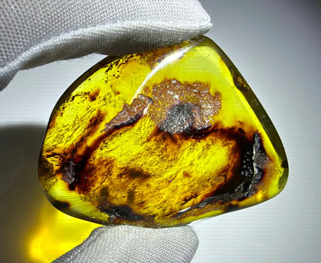 Dominican Amber!! AAA Quality!! No Reserve Price- 11.57 g
