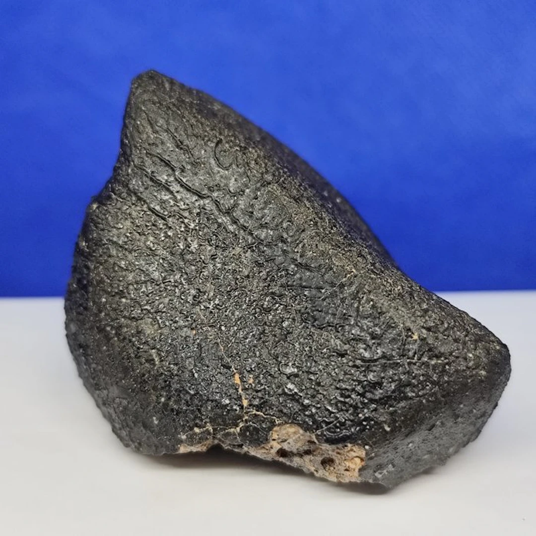 MUSEUM QUALITY- Achondrite Meteorite (HED) Fusion crust...