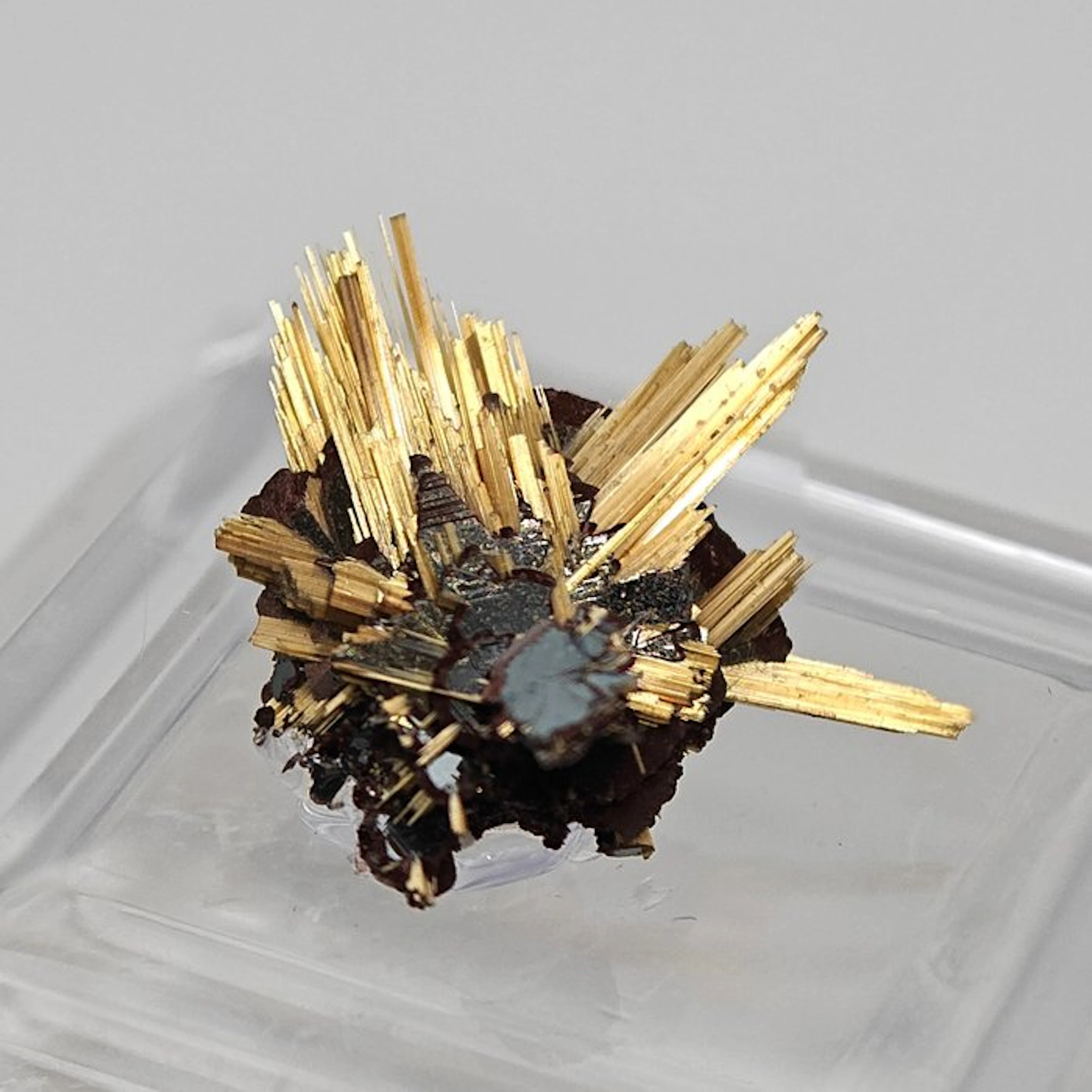 Golden rutile with glossy black hematite