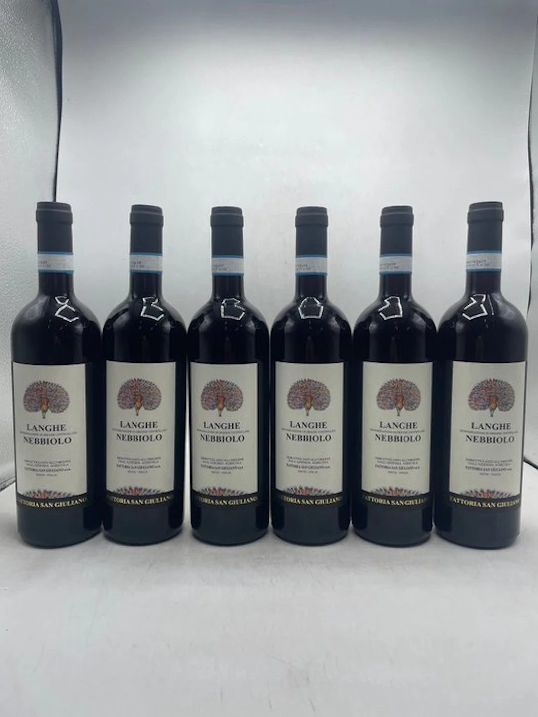 2024 Fattoria San Giuliano, Langhe Nebbiolo - Langhe DOC - 6 Bottles (0.75L)