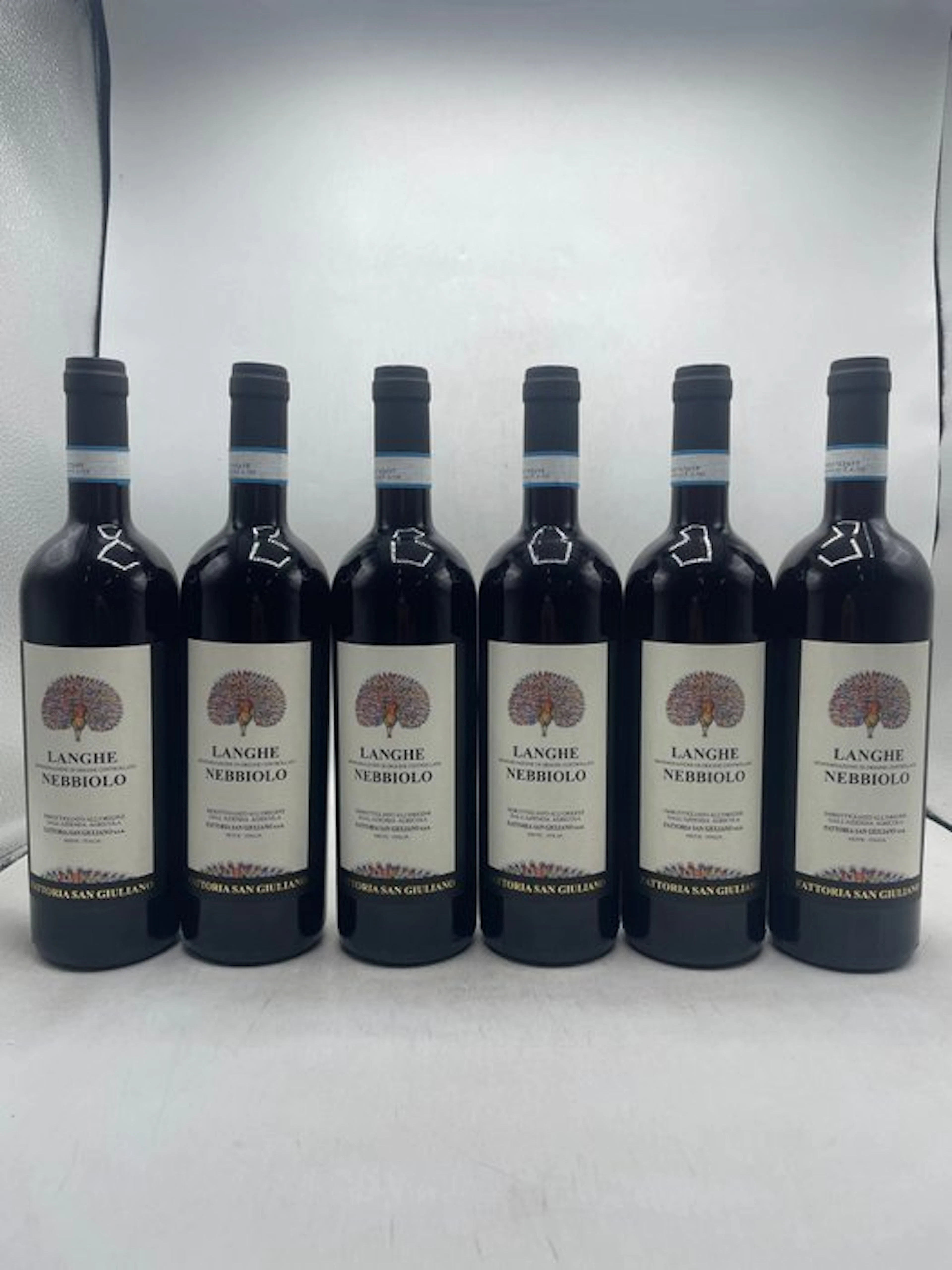 2024 Fattoria San Giuliano, Langhe Nebbiolo - Langhe DOC - 6 Bottles (0.75L)