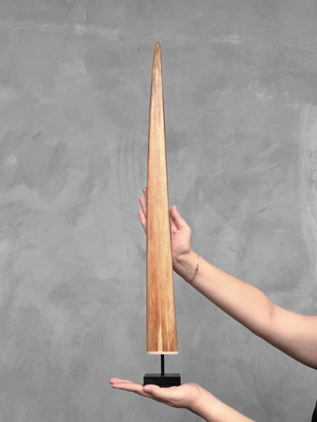 NO RESERVE PRICE - Stunning Swordfish tusk mounted on a...