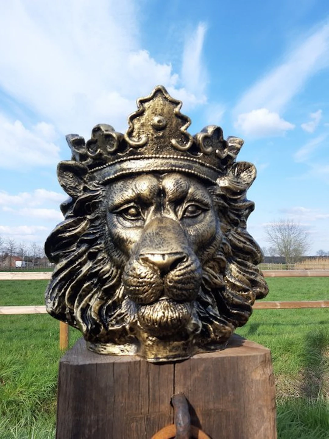 Statue, lion head garden statue bronze color for flowers...