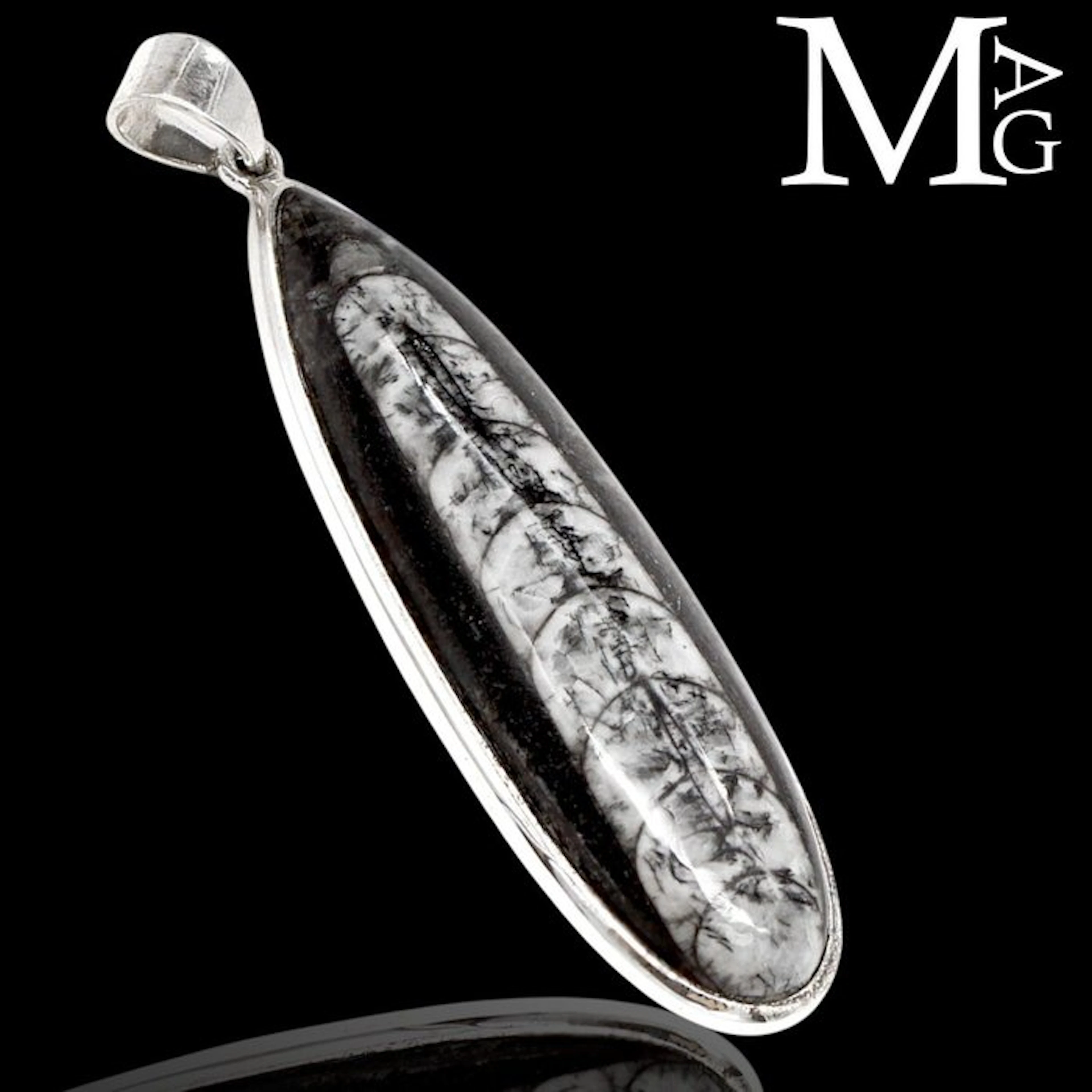 370 milioni di anni fa Orthoceras Fossil Jurassic Jewelry...