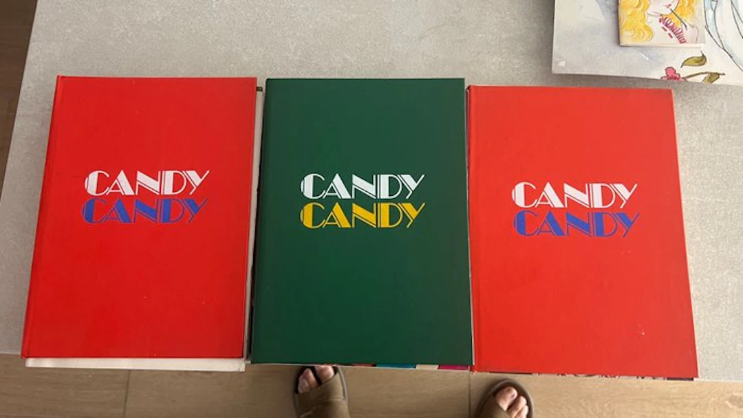 Le avventure di Candy Candy dal 1