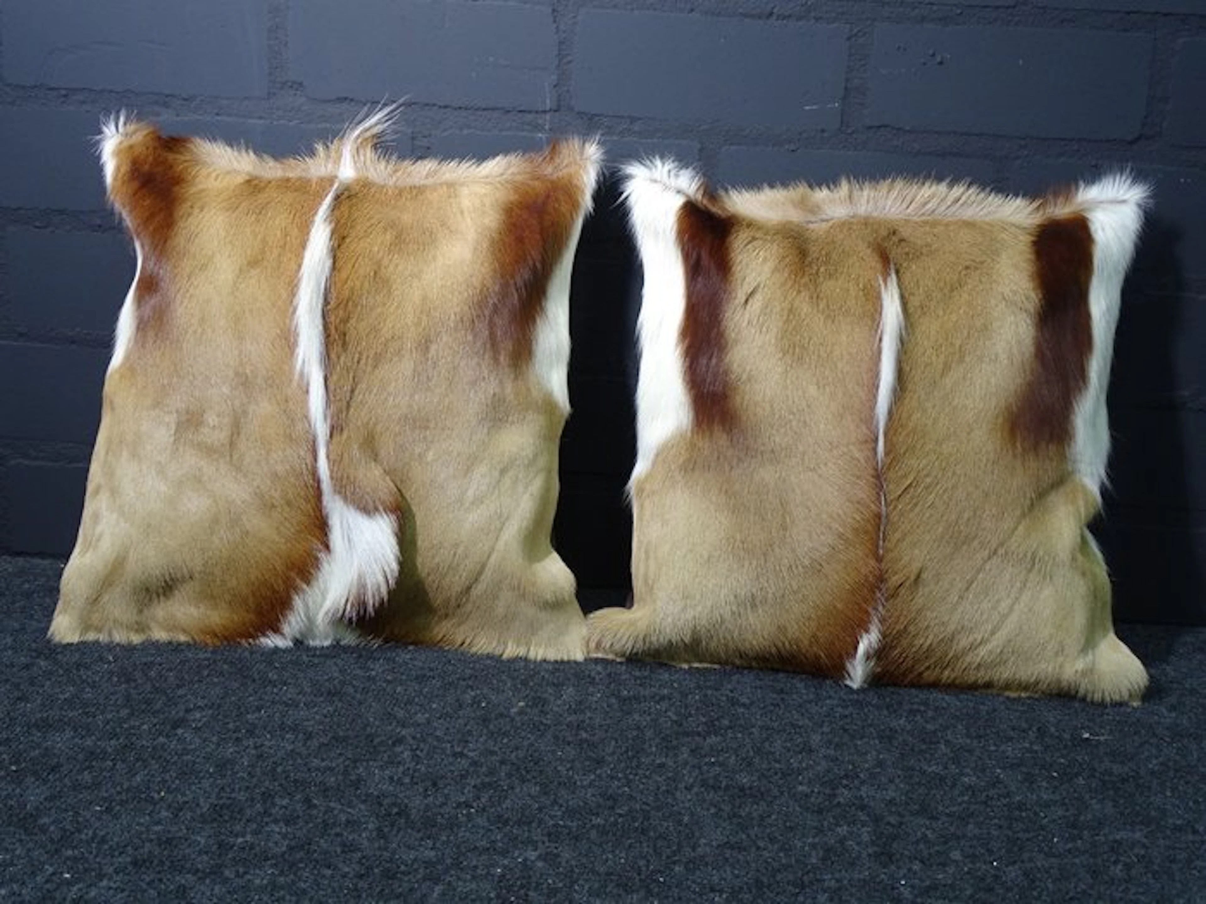 Springbok Cushion Covers - Taxidermy full body mount...