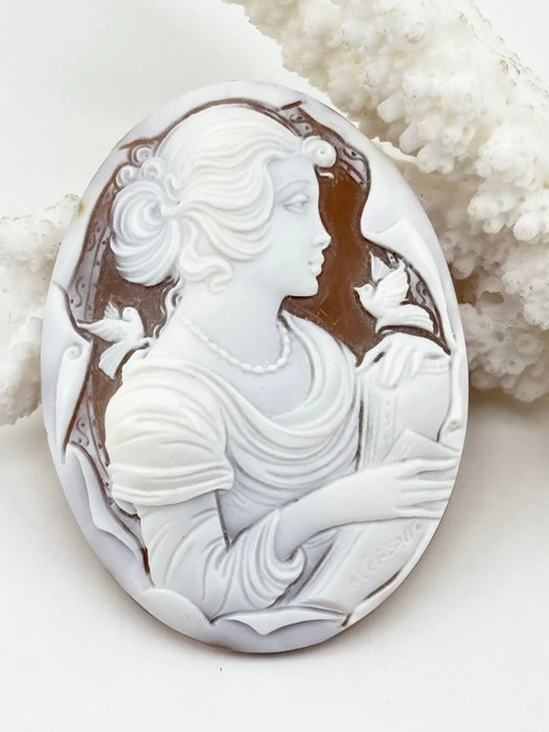 Cassis madagascariensis Cameo - Hand-carved cameo