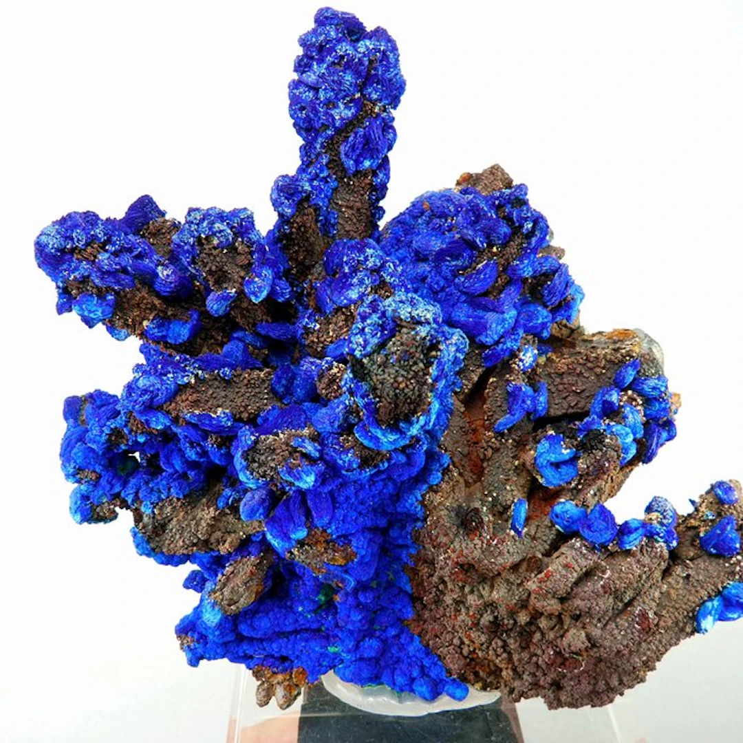 Azurite and oxides on Quartz - M'Ssici