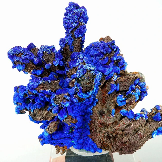 Azurite and oxides on Quartz - M'Ssici