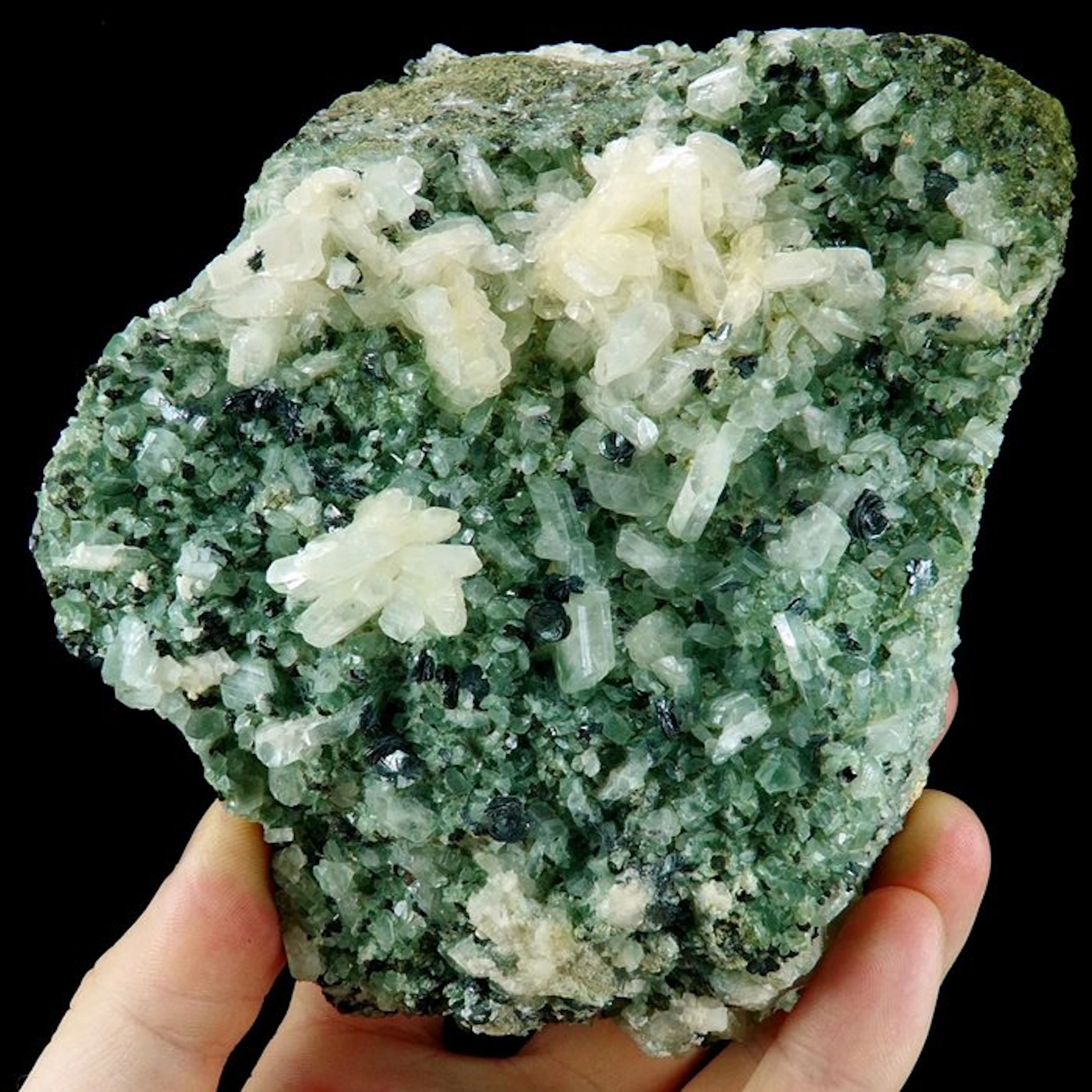 Albite (flower) with Hematite and green Actinolite inclusions - Saint-Véran