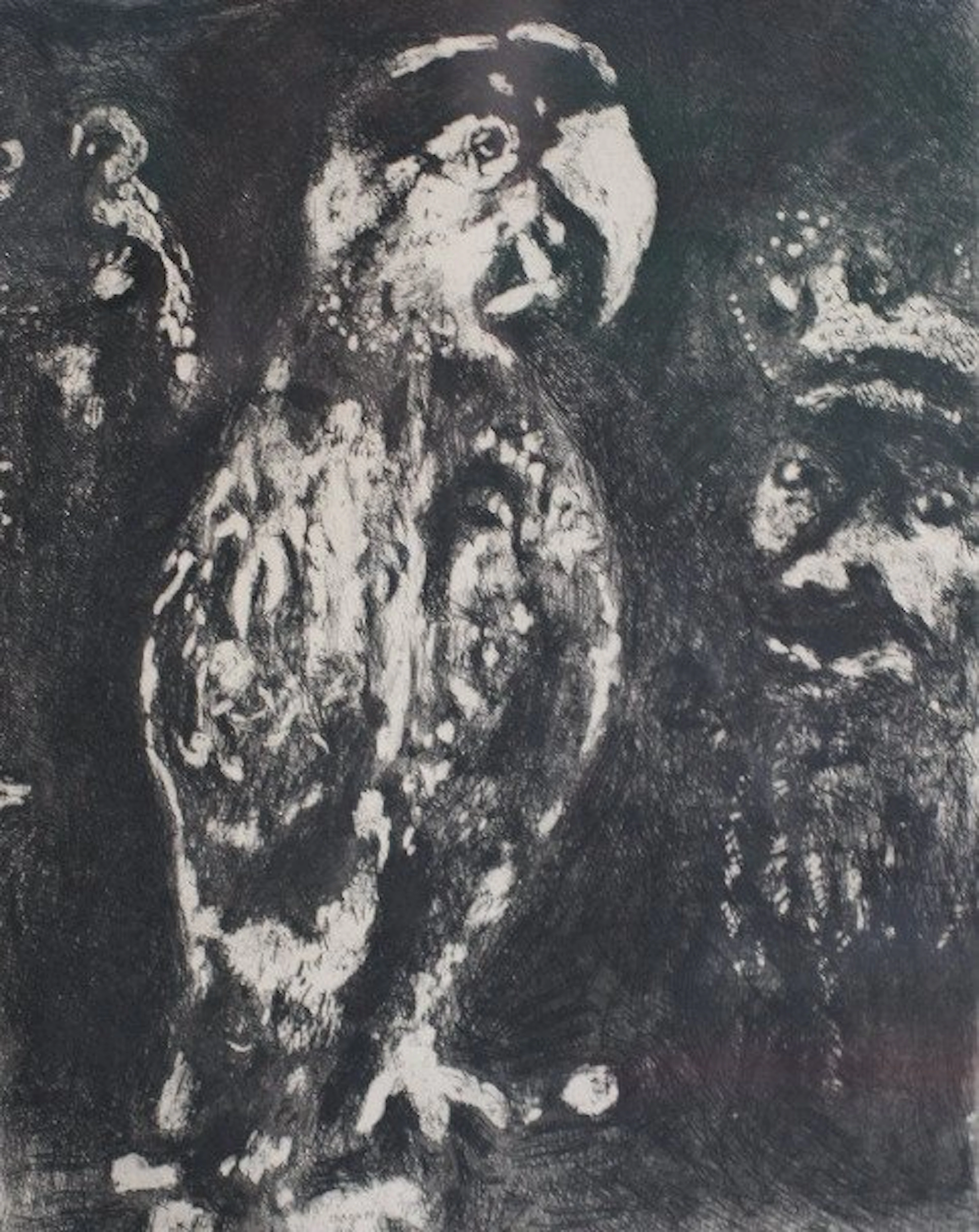 Marc Chagall (1887-1985) - Les deux Perroquets