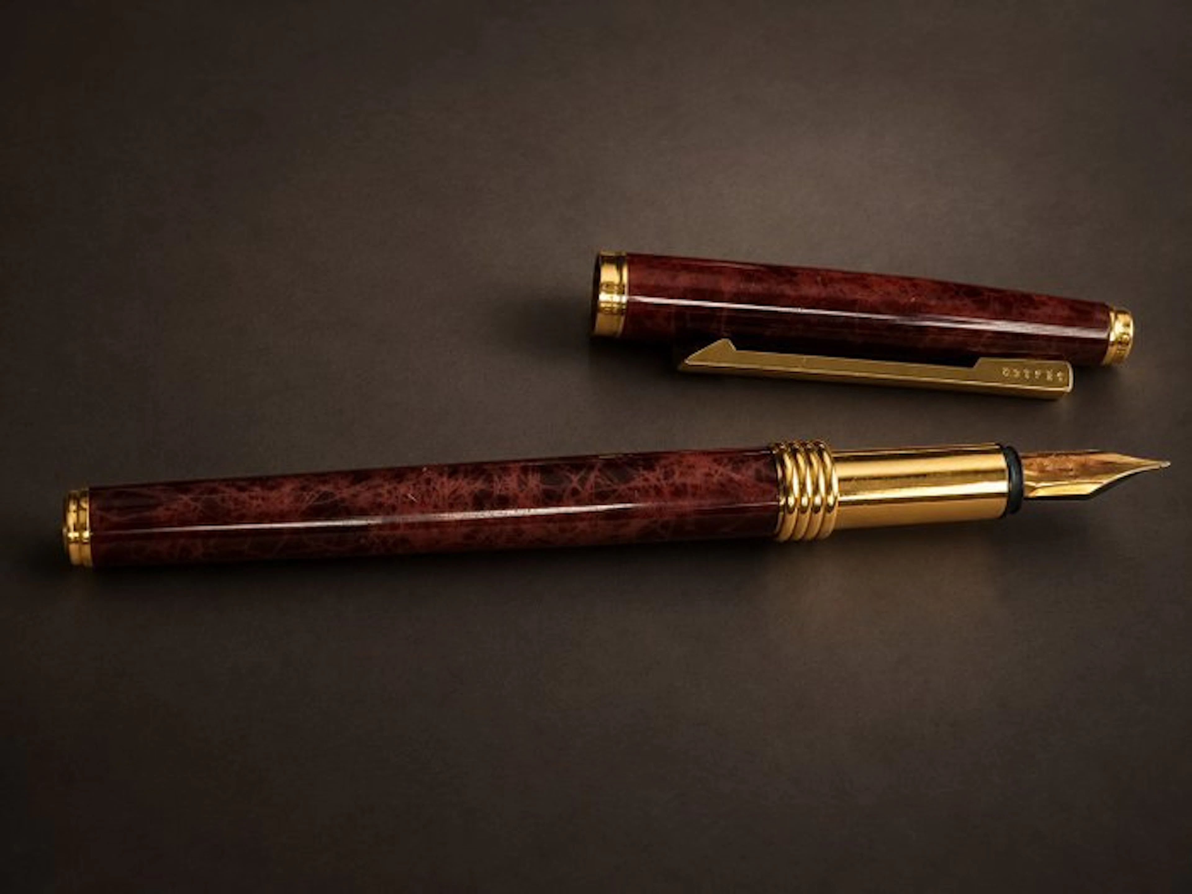 Christian Dior - Bordeaux marbled (14k Nib) - Fountain pen