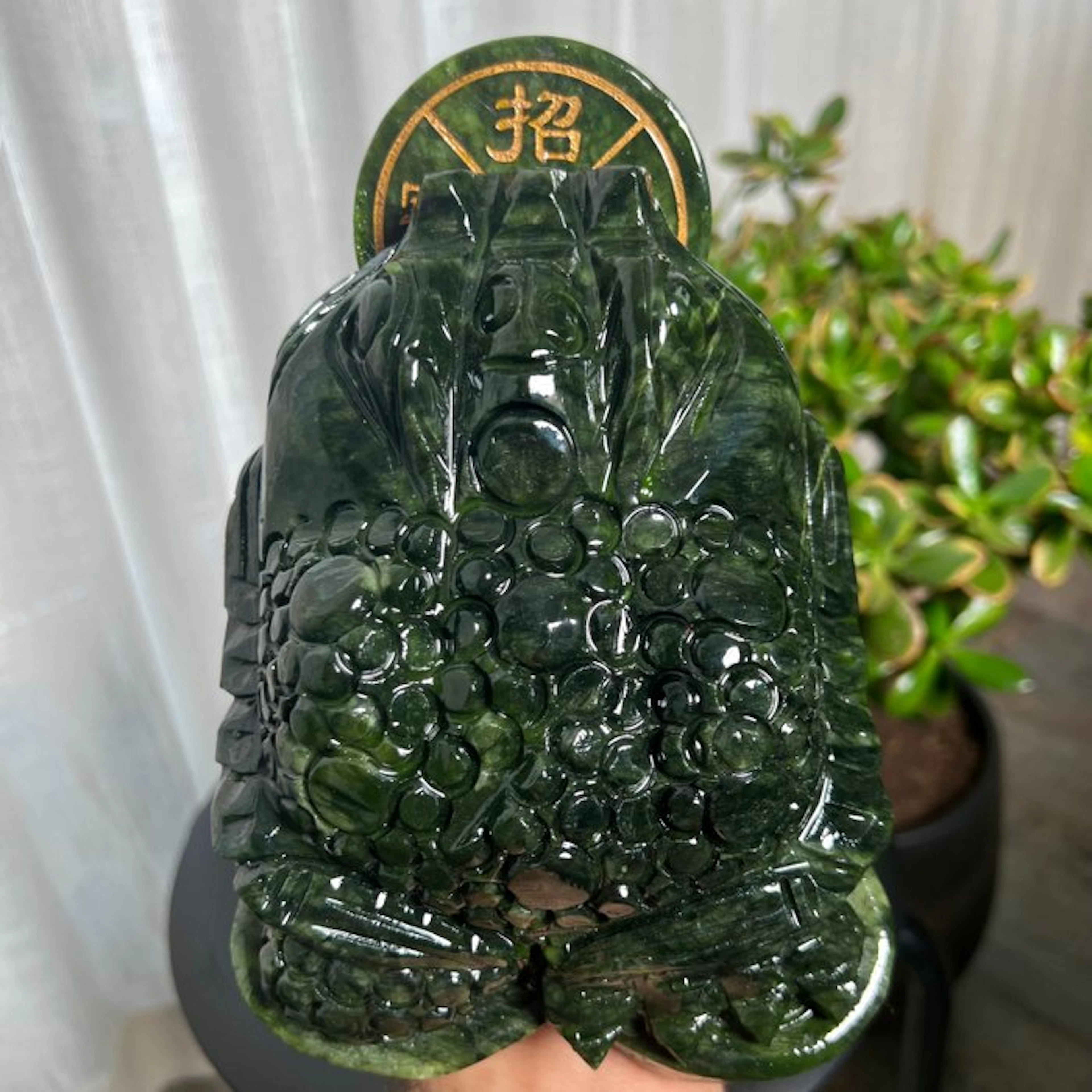 Xi'an jade Frog - Height: 18 cm - Width: 14 cm- 2660 g