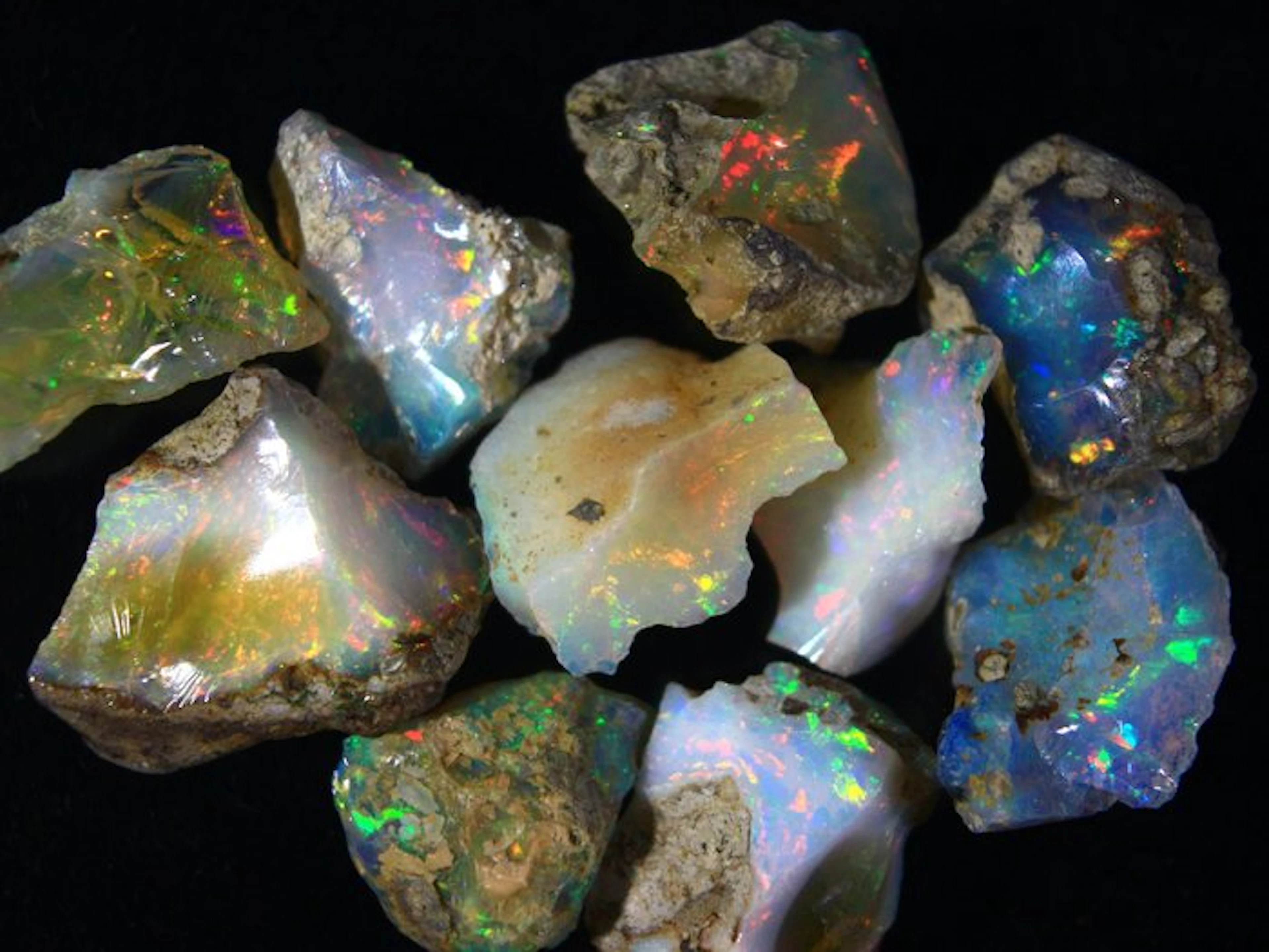 No Reserve - Ct. 81.50 Top Color Ethiopian Opal - Rough Collection- 16.3 g