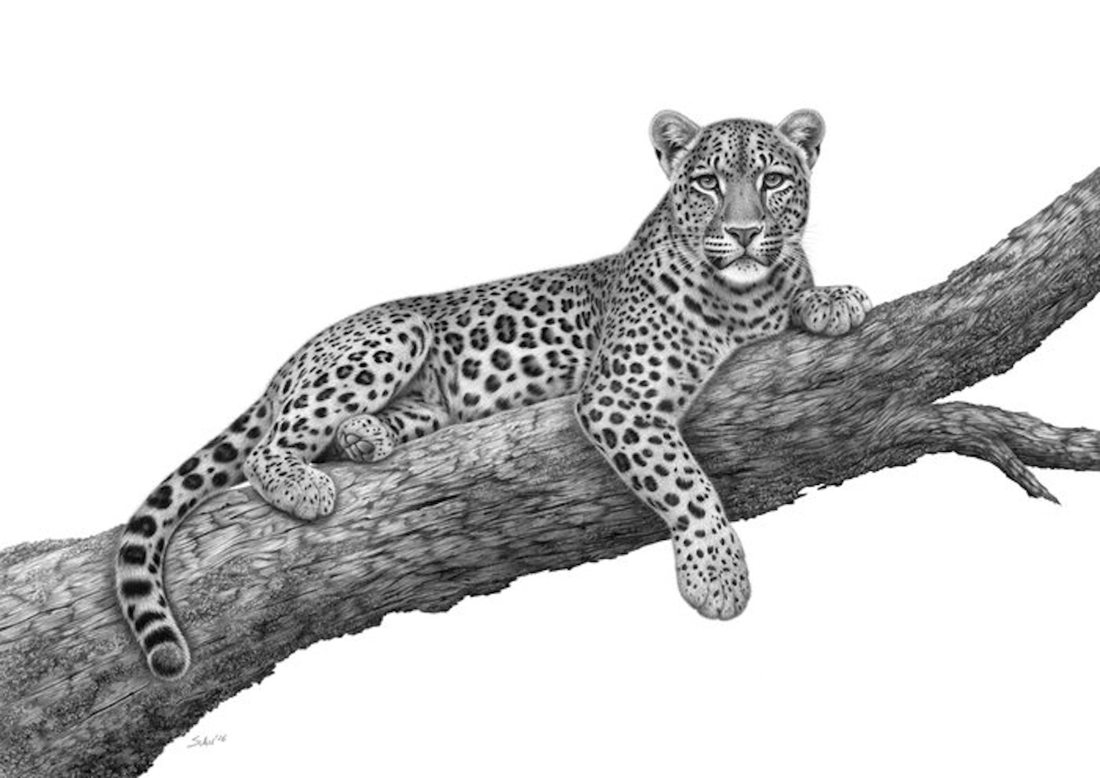 Schu - Leopard in a tree - XL