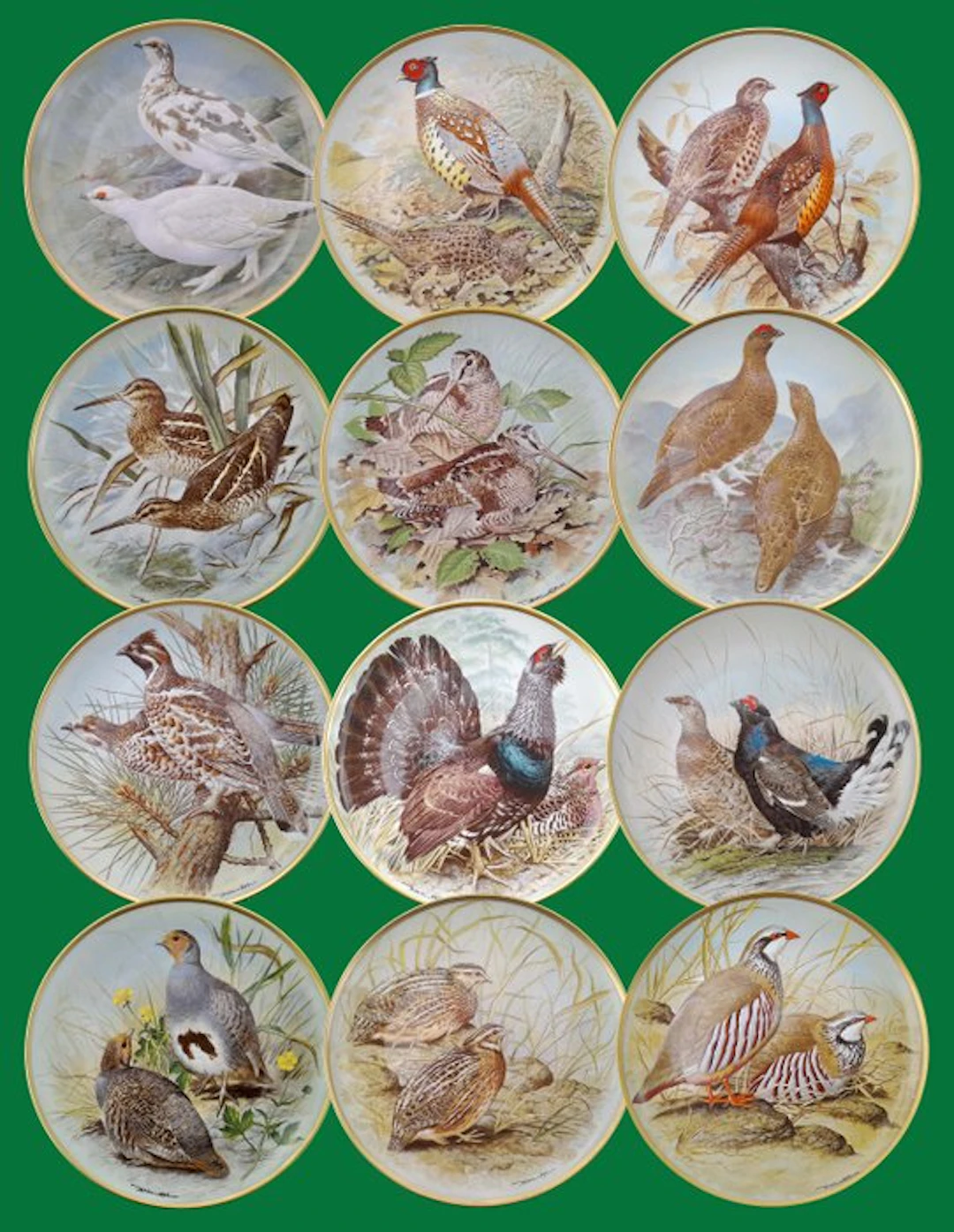 Limoges - Basil Ede - Plate (12) - Porcelain - Gamebirds...