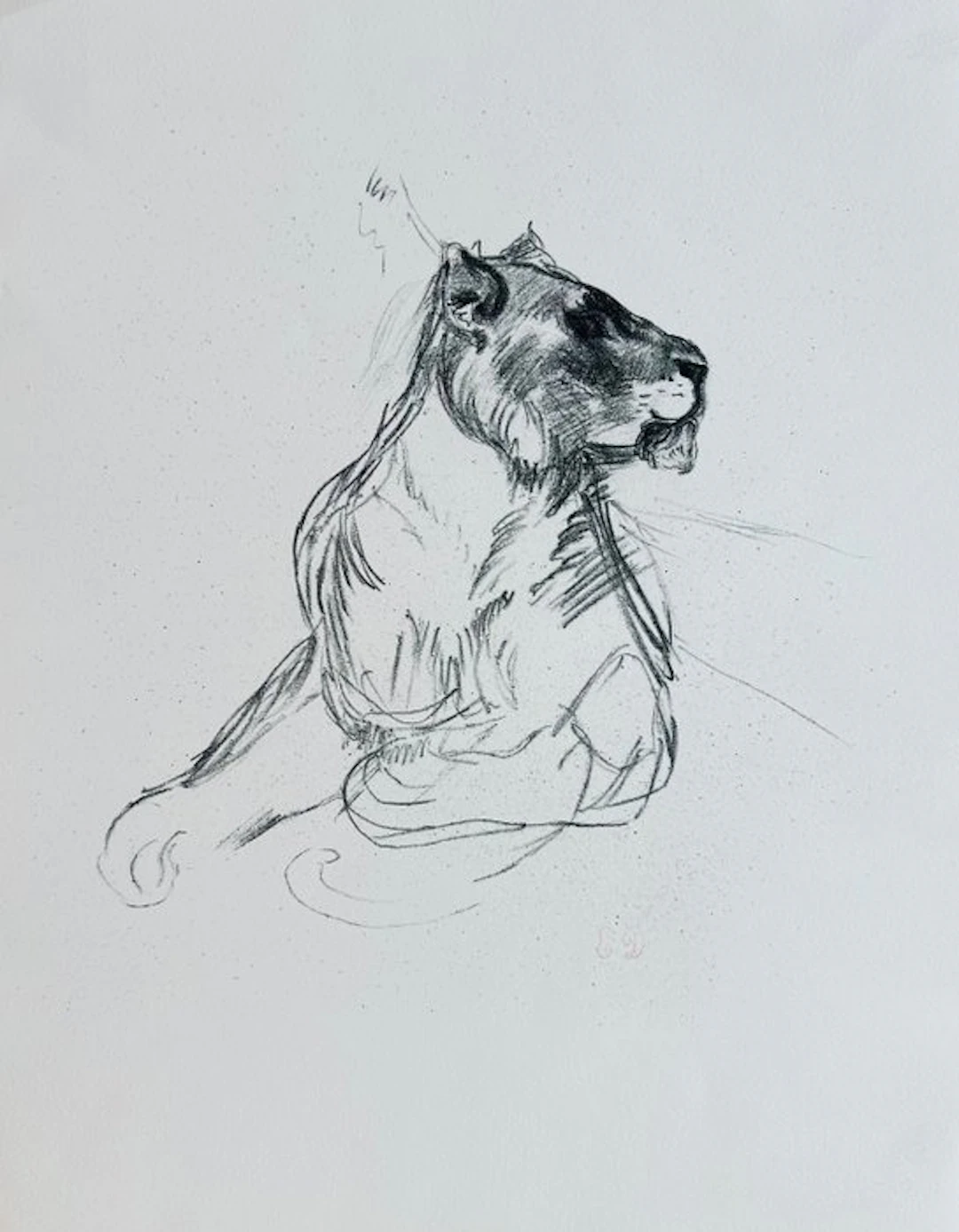 Eugène Delacroix (1798-1863) - La lionne - Lithographie monogrammée