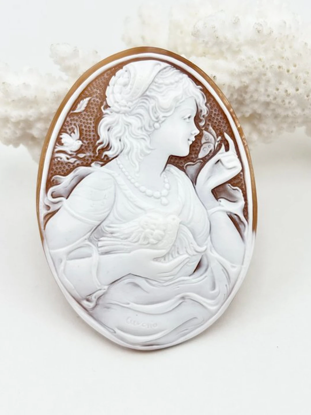 Cassis madagascariensis - Cameo - hand-carved cameo