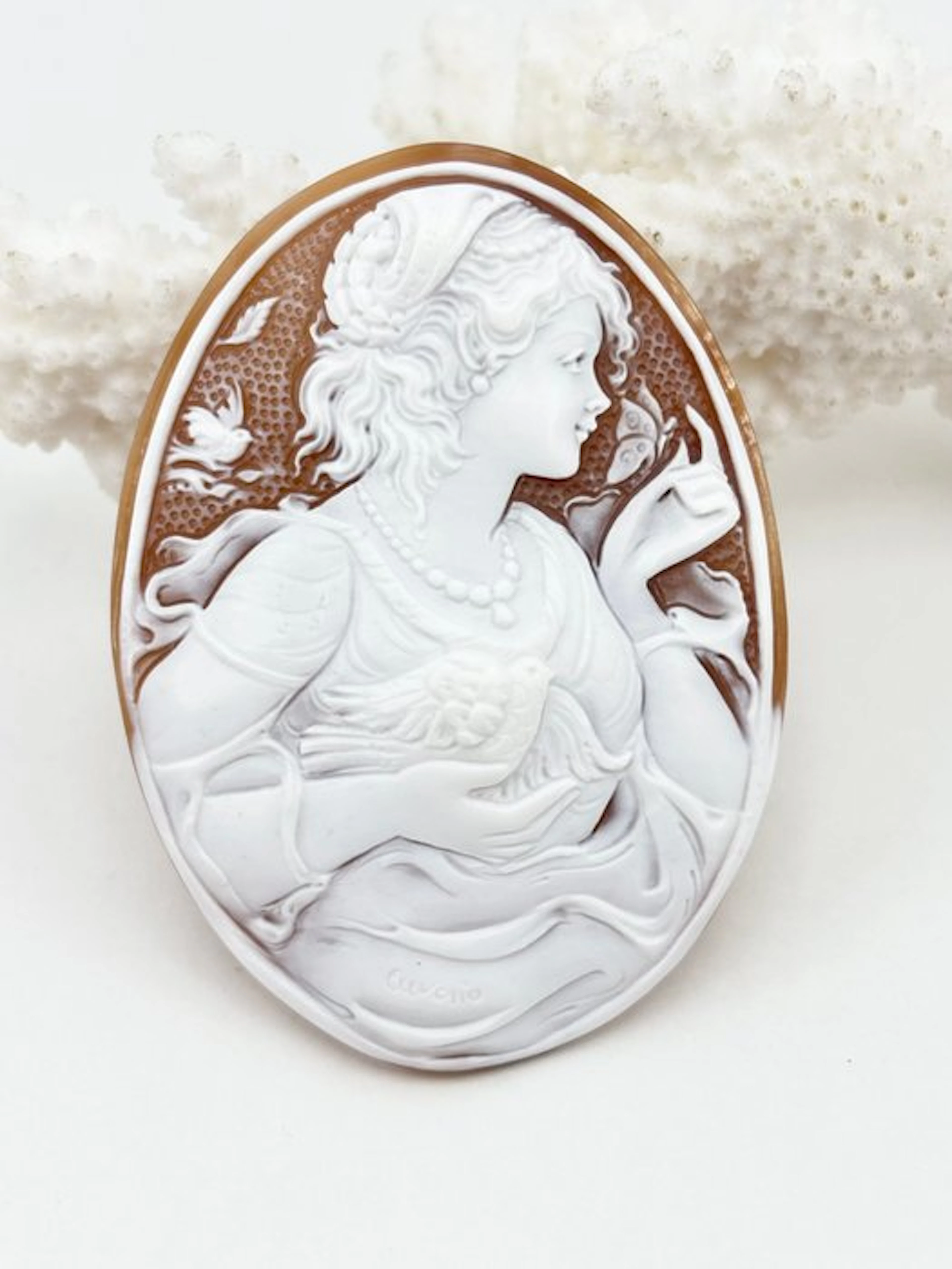 Cassis madagascariensis - Cameo - hand-carved cameo