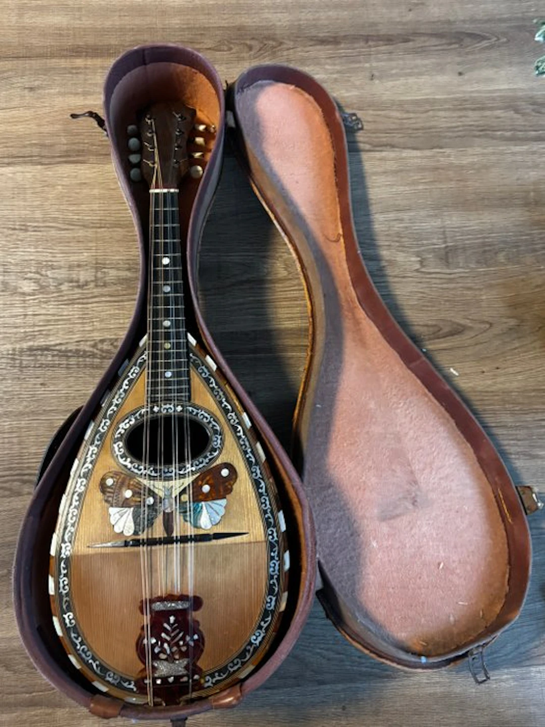 F.lli Ferrari - - Mandolin - Italy - 1900