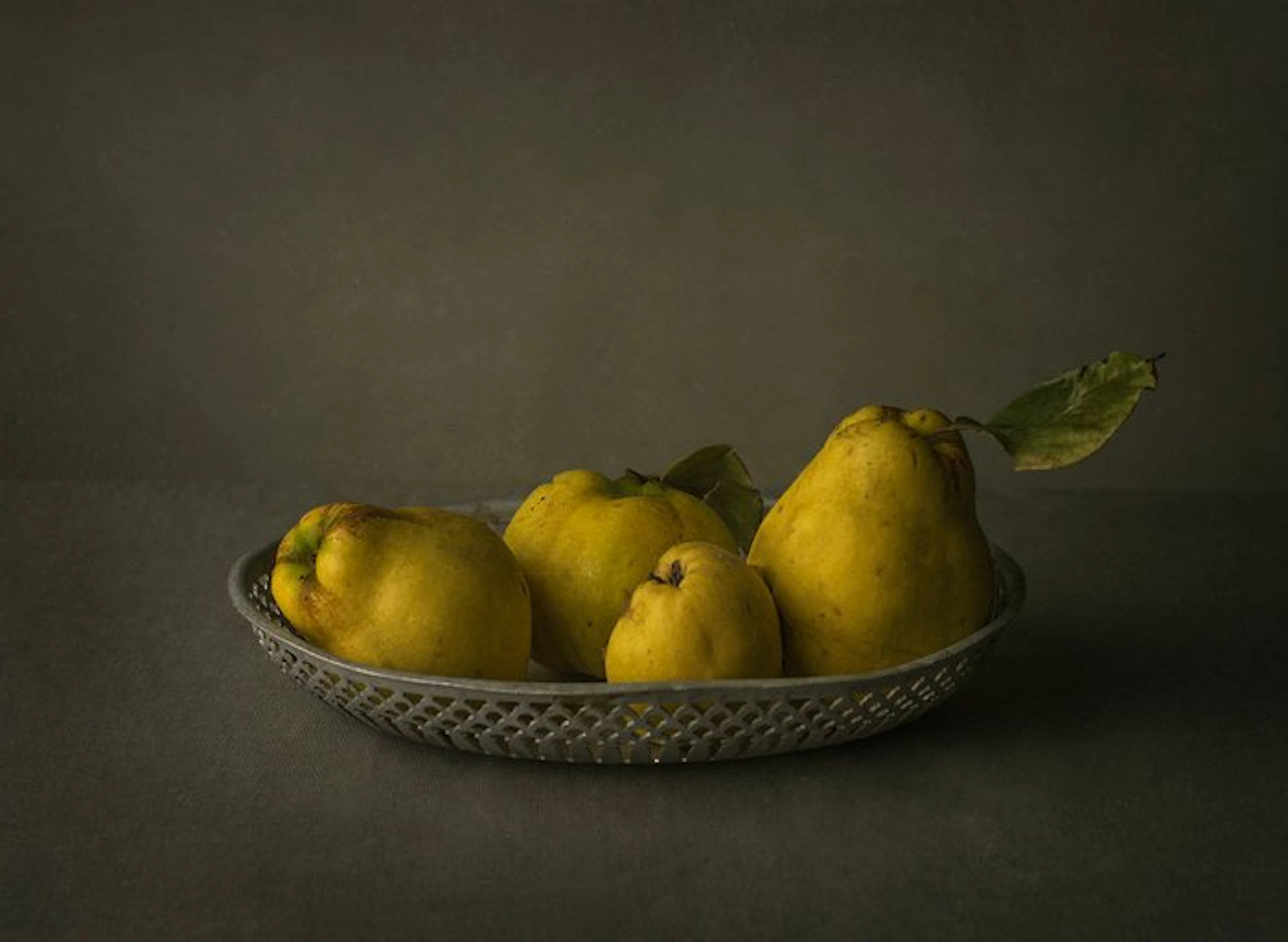 Tessa Posthuma de Boer - Quince #2