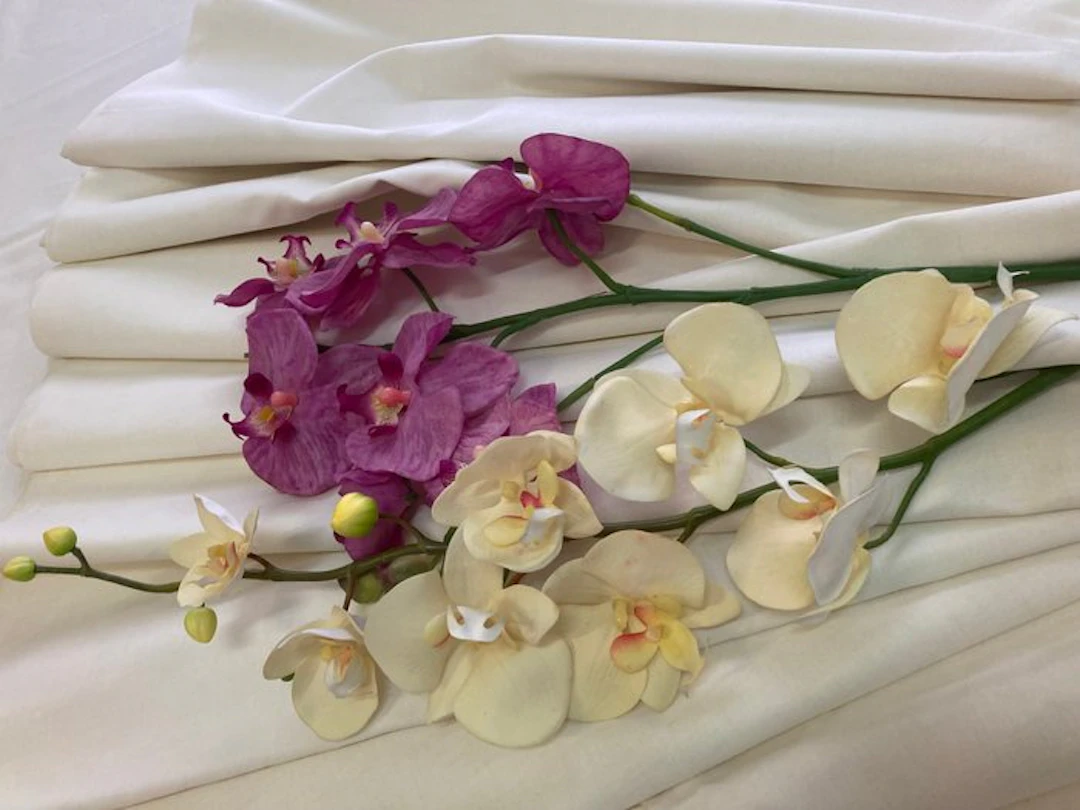 Textile - 300 cm - 250 cm