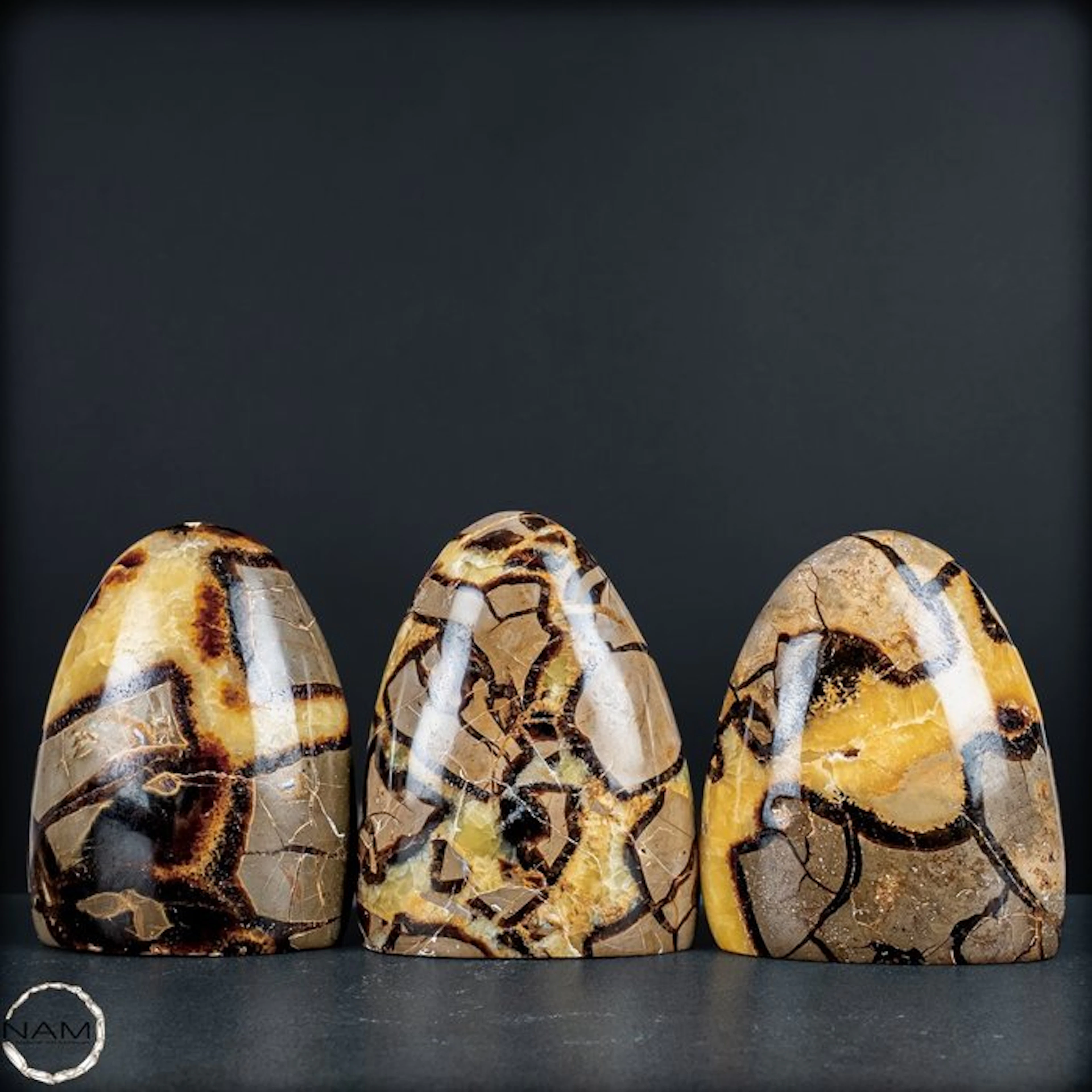 Powerful Earth energy – Exclusive Septarian free-form set...