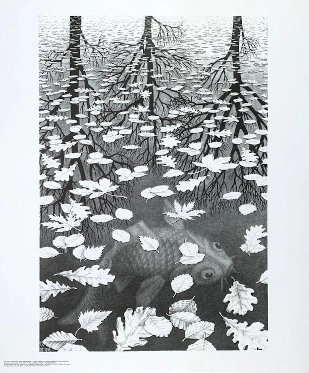 M.C. Escher (1898-1972) - after - Three Worlds Drei...