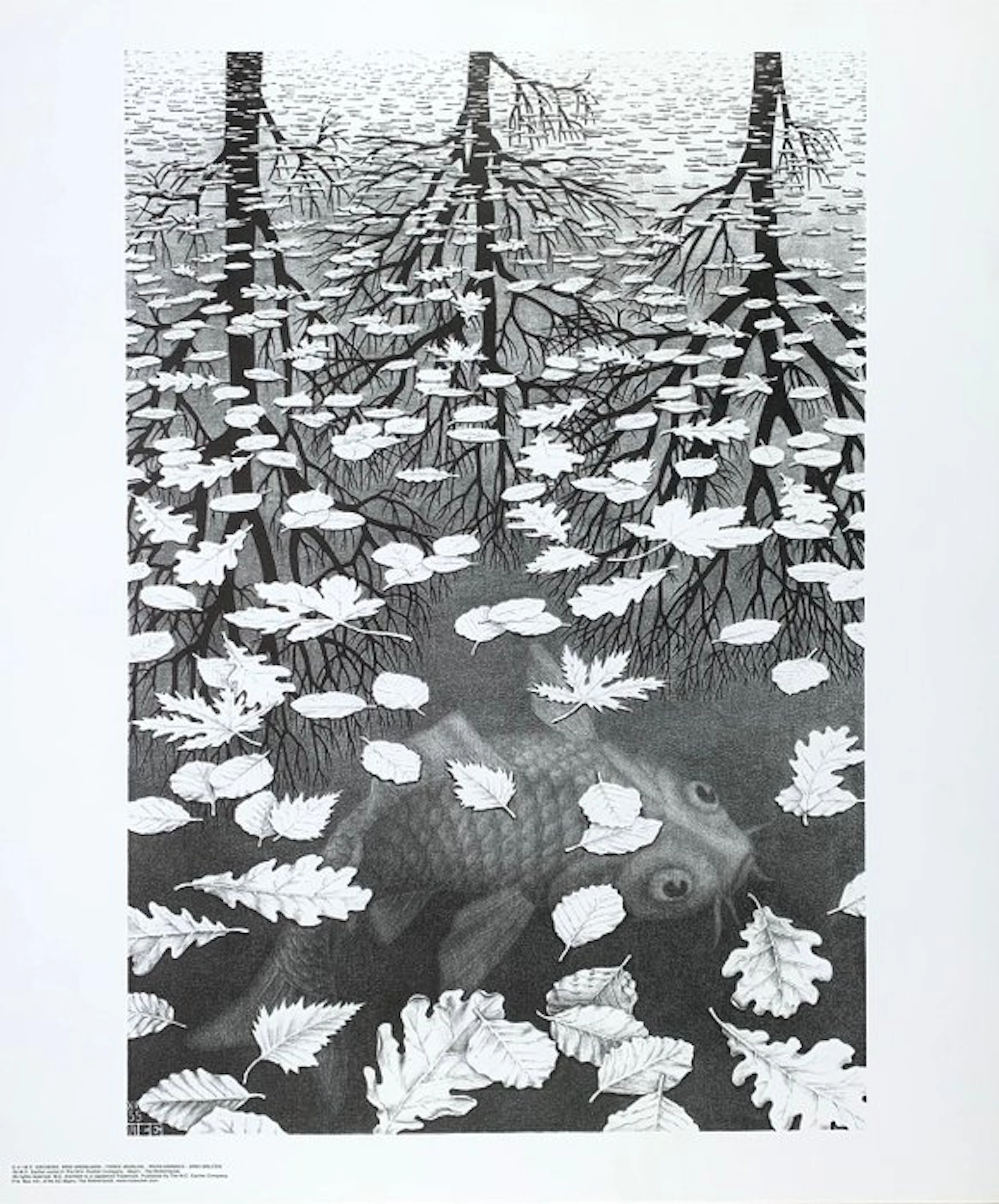 M.C. Escher (1898-1972) - after - Three Worlds Drei...
