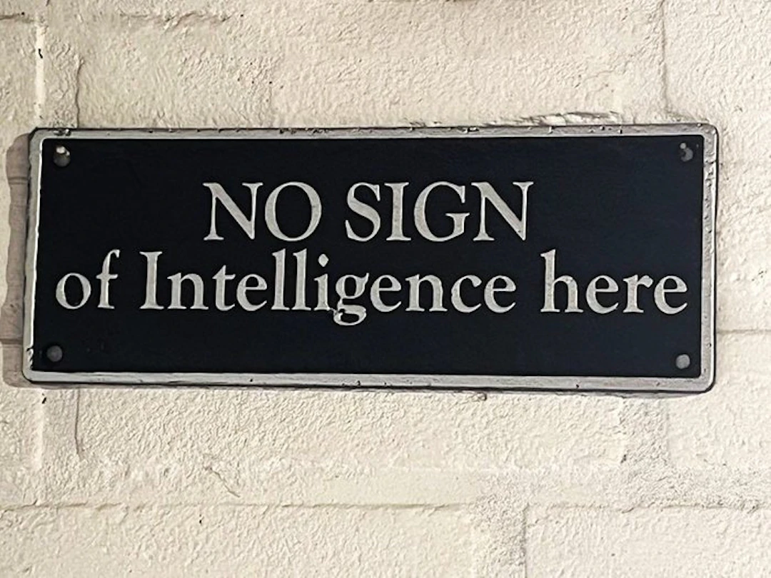 Decorative ornament - Europe - NO SIGN of Intelligence
